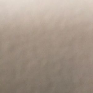 Meet your Posher, Anika